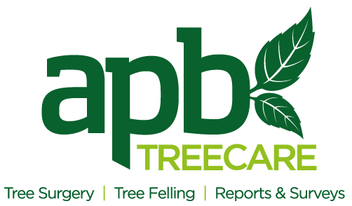 APB Treecare